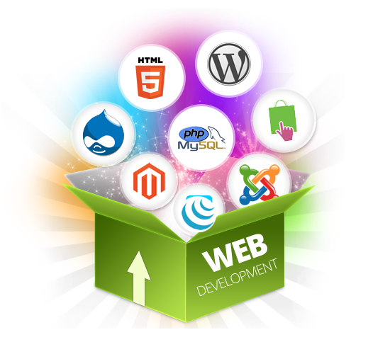 Web Designing Service in Hyderabad